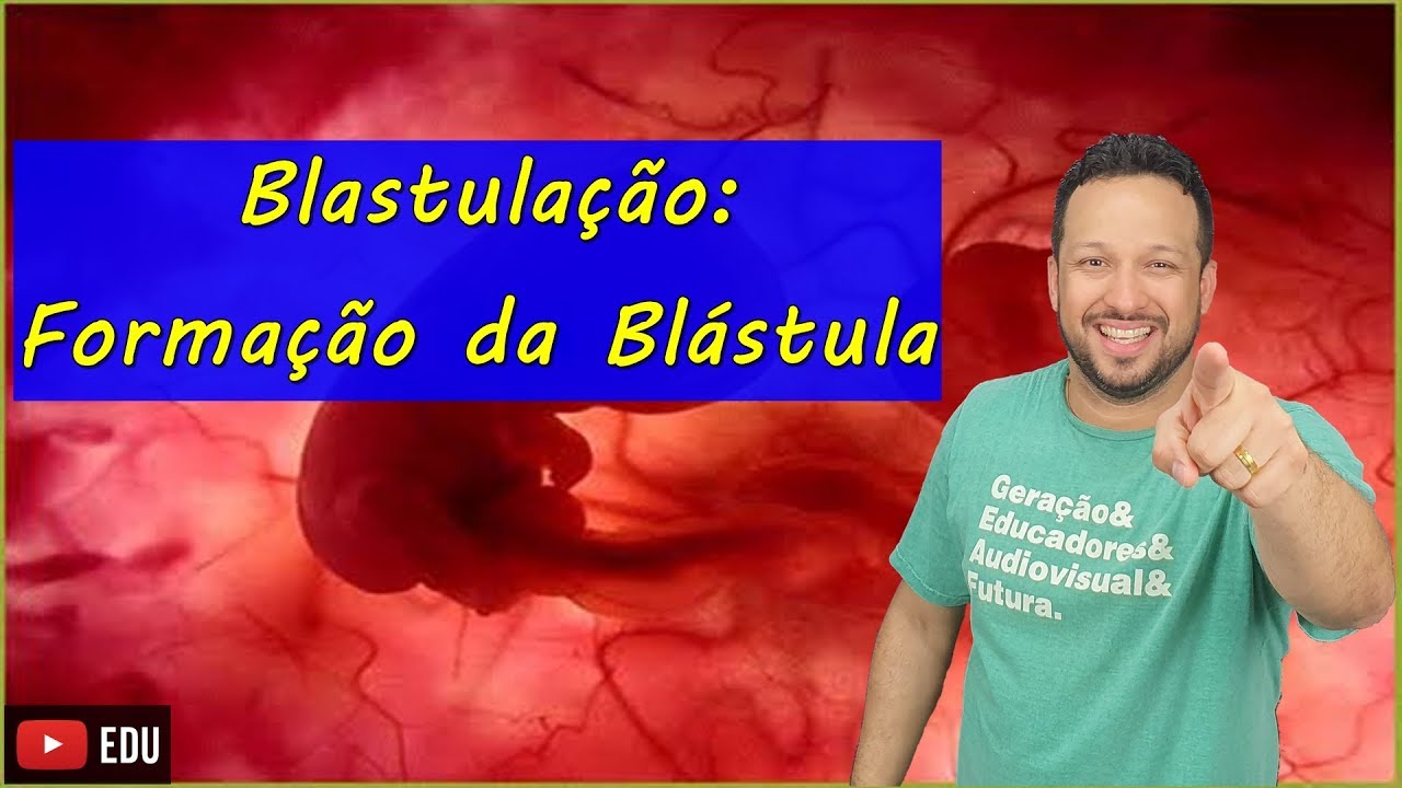 Blastulação: Formação da Blástula - Embriologia - Aula 4