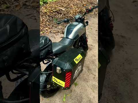 Buena Vista - Santa Cruz