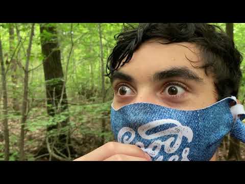 Hide and Seek | Official Trailer