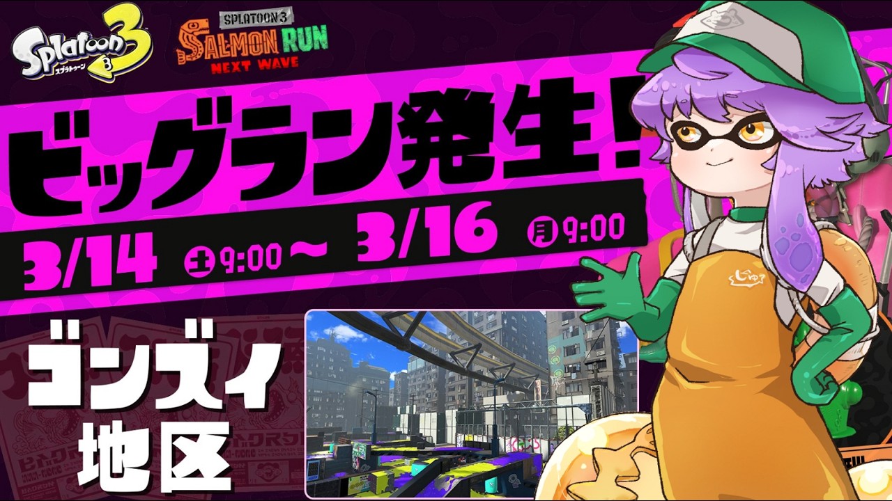 【野良→参加型】見るだけ上達サモラン！ビッグランホワイトデースペシャル🐻【スプラトゥーン3/サーモンランNW】