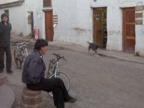 QUIERO SER TU SOMBRA - LOS CANTORES DE QUILLA HUASI