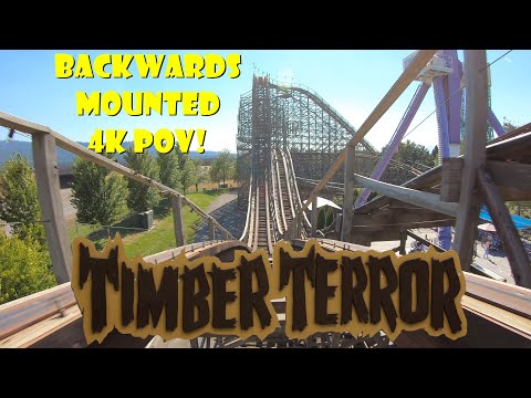 On-ride point of view of Timber Terror