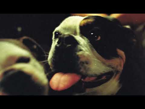 Video thumbnail for BE WHAT I WANT