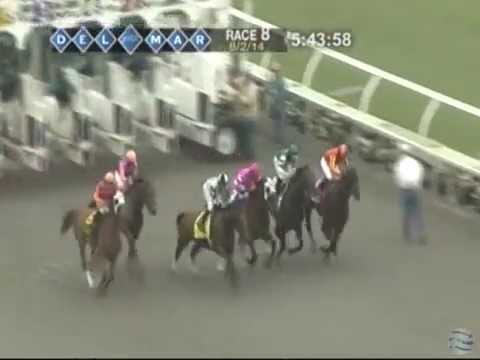 2014 Clement L. Hirsch Stakes - Iotapa