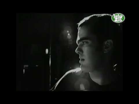 Brand New Heavies "Dream Come True (feat N'Dea Davenport)" live (1992 Delicious Vinyl)