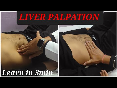 LIVER PALPATION || Learn In Just 3 minutes