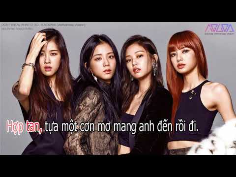 [Karaoke Việt + Audio] DON&#39;T KNOW WHAT TO DO - BLACKPINK