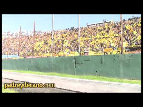 "Así lo vivió la hinchada - Peñarol Campeón Apertura 2015" Barra: Barra Amsterdam &bull; Club: Peñarol &bull; País: Uruguay