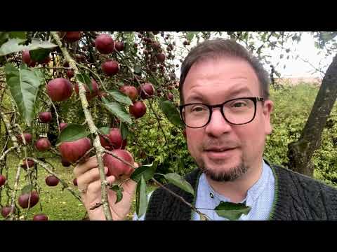 Impuls #68 | „Wofür bist Du dankbar?“