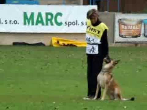 WM FCI 2013. Mecberger Lulu. B-93. Judge Lene Carlson