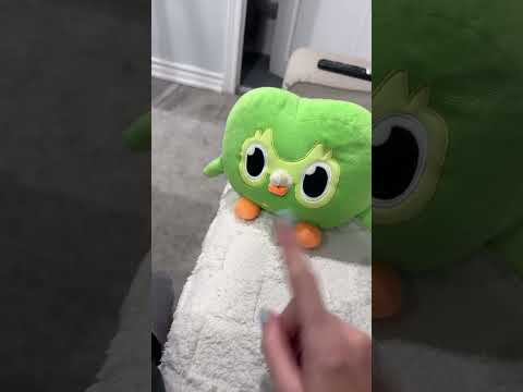 Unexpected Duo Owl IRL Funny Battles 🔥 Chaos Everywhere