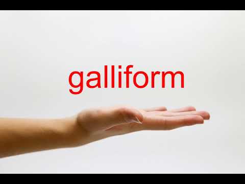 How to Pronounce galliform - American English