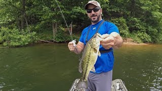 Spring FLUKE Fest!!! (Post Spawn Bass Fishing)