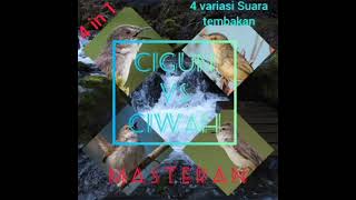 Download lagu 4 in 1 Masteran Cigun vs Ciwah 4 variasi suara tembakan|| Suara air mengalir mp3 Download lagu 4 in 1 Masteran Cigun vs Ciwah 4 variasi suara tembakan|| Suara air mengalir mp3