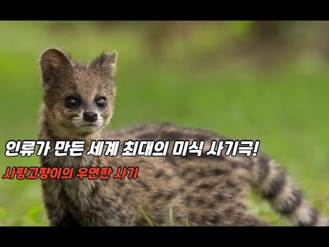 쑤친 저 『세계를 점령한 중독 경제학』 출간(이든서재) - 뉴스 영상