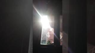 Matahari turun ke bumi