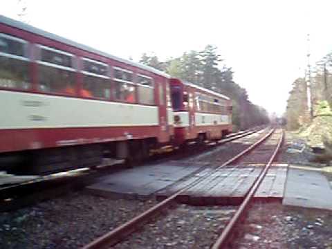 "Plevel" na Borůvkáči