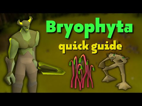 Bryophyta Quick Guide [F2P/P2P] | OSRS