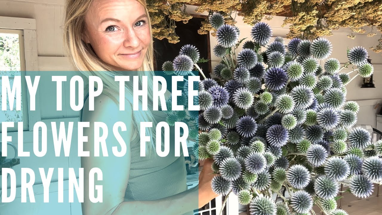 Great cut flowers for drying!