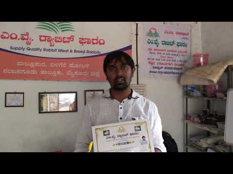 download lagu mp3 mp4 Can Rabbits Eat Button Mushrooms, download lagu Can Rabbits Eat Button Mushrooms gratis, unduh video klip Can Rabbits Eat Button Mushrooms