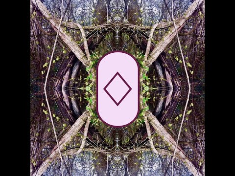 Runen: 22 INGWAZ Vorgeschichte der Runen