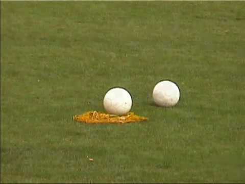 Verbandsliga MV 2003/2004 - 03. Spieltag: Parchimer FC vs. Torgelower SV Greif