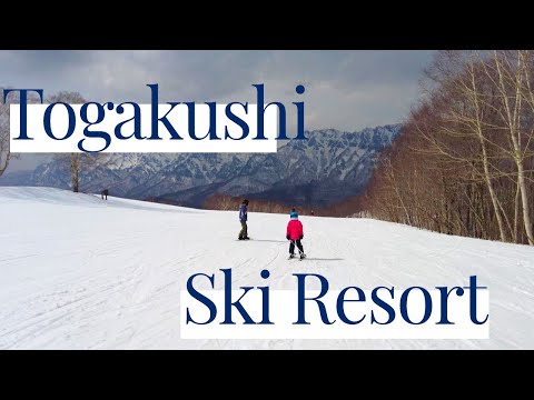Togakushi Ski Resort, Tsugaike Ropeway and a day on our own private resort.