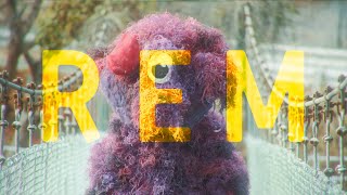 https://www.youtube.com/embed/EWE8zp-PRig