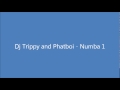 dj trippy and phatboi - numba 1.wmv