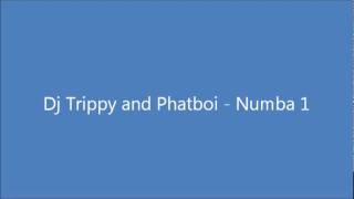 dj trippy and phatboi - numba 1.wmv