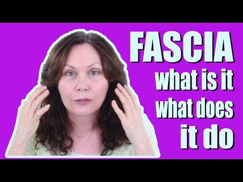 What is Superficial Fascia and What Does it Do? | FACEROBICS® Face Exercise Program