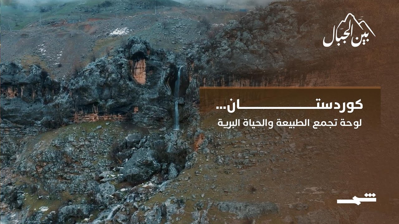 فيديو | كوردستان... لوحة تجمع الطبيعة والحياة البرية
