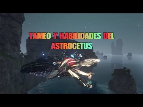 TAMEO Y HABILIDADES DEL ASTROCETUS