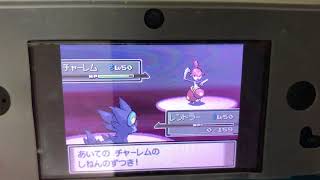 ポケモンプラチナ特別編、バトルルーレット対ダリア！