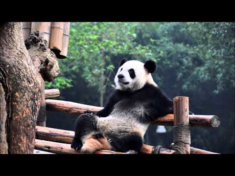 I-Shence MC Feat. Andoken - Bien Tout Seul (CLIP OFFICIEL)