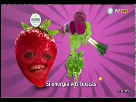 Frutilla y frutas de estación