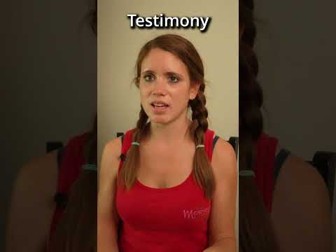 Witness21 Editor  2025 01 04