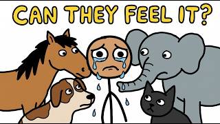 Do Animals Know When You're Sad? MQDEFAULT Thumbnail