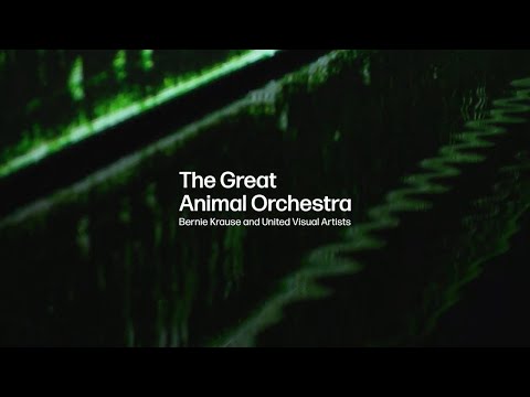 BOSTON |  Interview — Bernie Krause & United Visual Artists
