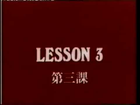 Dynamic Wing Tsun Leung Ting