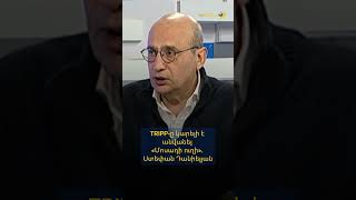 TRIPP-ը կարելի է անվանել «Մոսադի ուղի». Ստեփան Դանիելյան