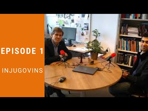 Jus Cogens Episode 1 - INJUGOVINS with Niels Blokker