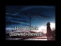 Horse Stick Baani Sandhu Mandeep Maavi New Punjabi Song 24 Latest Punjabi Music 24