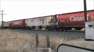 preview picture of video 'Union Pacific mixed-Haines, OR-March 18, 2012'