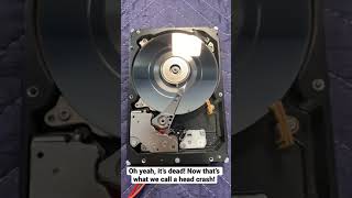 Ever wanted to see inside a HDD with a crashed head? Here you go!