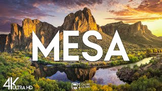 Top 10 Best Things to Do in Mesa, Arizona [Mesa Travel Guide 2025]