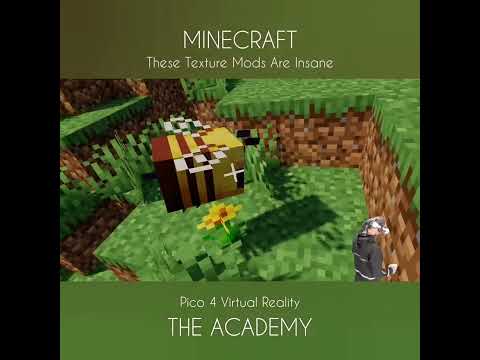 The Academy - Pico 4 - MINECRAFT - (VR) - It's Bee-autiful
