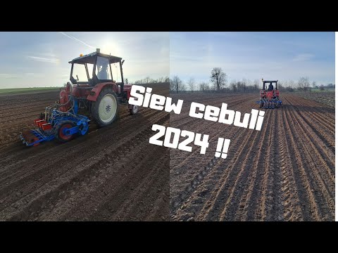 WarzyVlog #3 Cebula w marcu?! Siejemy Cebulę 2024| Jakie odmiany ? Areał ? Nowości!!