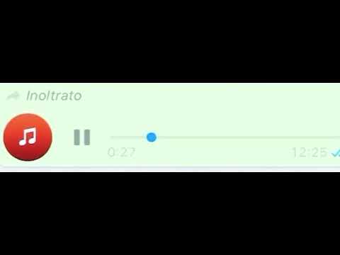 Danza🎵(Niko Pandetta Feat:Marco Calone Pino Franzese)