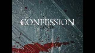 Confession - That&#39;s Not the Goose (new song)